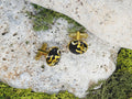 Gold Steel Cufflinks with Black-Gold Abstract Glass #61
